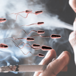 Thuốc lá ảnh hưởng nghiêm trọng đến chất lượng tinh trùng và khả năng sinh sản nam giới