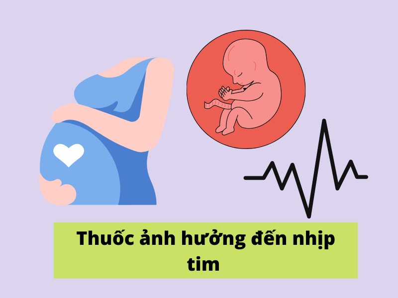 Nhịp tim bình thường ở phụ nữ mang thai và thai nhi