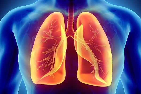 PHỔI NẰM Ở ĐÂU trong cơ thể? Chức năng, cấu tạo của phổi?