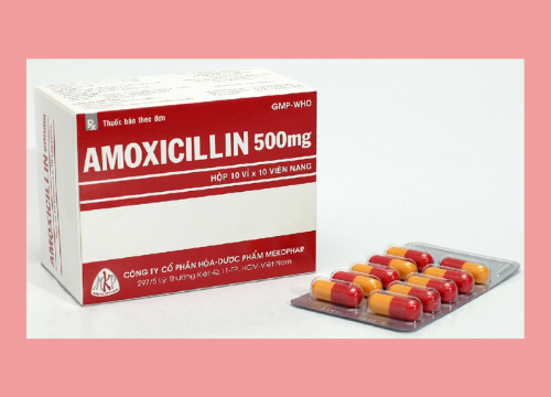 Chỉ lăm le dung dịch Amoxicillin