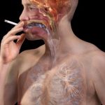 Hút thuốc lá ảnh hưởng sức khoẻ như thế nào?