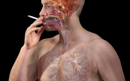 Hút thuốc lá ảnh hưởng sức khoẻ như thế nào?